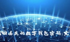 如何找回丢失的数字钱包密码：完整指