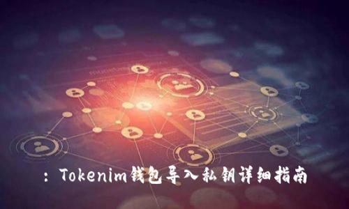 : Tokenim钱包导入私钥详细指南