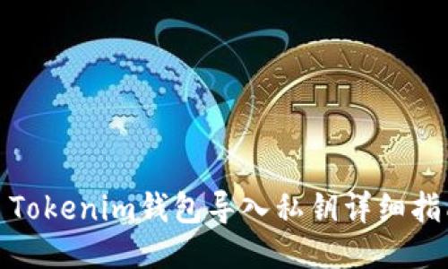: Tokenim钱包导入私钥详细指南