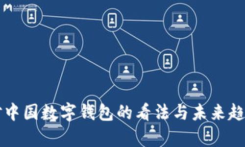 老外对中国数字钱包的看法与未来趋势分析