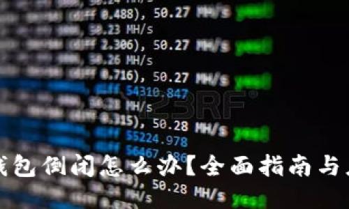 区块链钱包倒闭怎么办?全面指南与应对策略