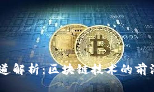 Tokenim通道解析:区块链技术的前沿应用与发展
