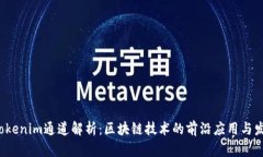  Tokenim通道解析：区块链技术的前沿应