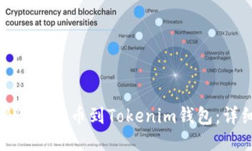 如何将Bitz提币到Tokenim钱包:详细指南