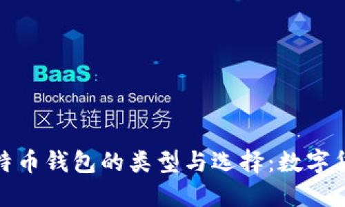 深入了解比特币钱包的类型与选择:数字货币安全之道