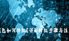 数字钱包如何降级？详解降级步骤与注
