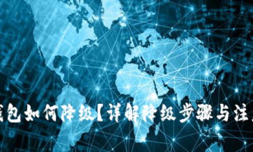 数字钱包如何降级?详解降级步骤与注意事项