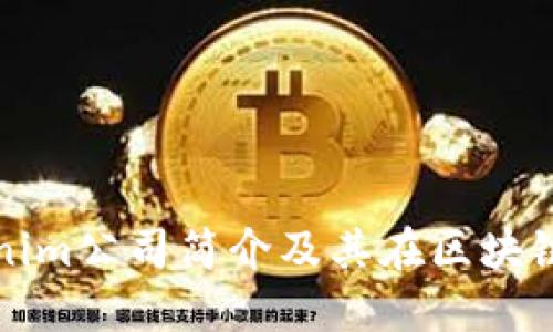 ### Tokenim公司简介及其在区块链领域的影响