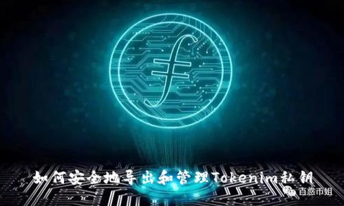 如何安全地导出和管理Tokenim私钥