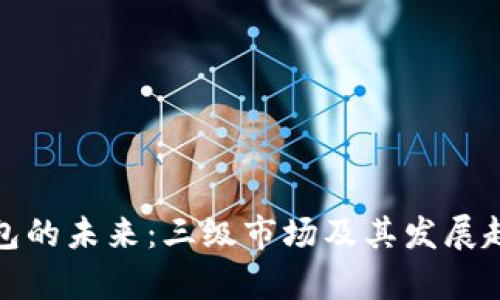 数字钱包的未来：三级市场及其发展趋势解析