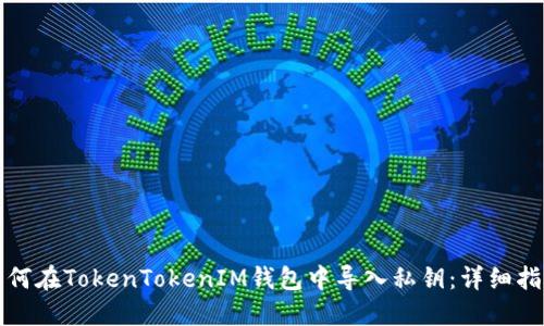 如何在TokenTokenIM钱包中导入私钥：详细指南