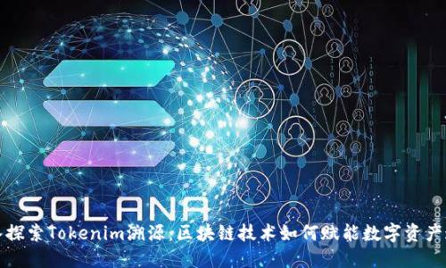 深入探索Tokenim溯源：区块链技术如何赋能数字资产追溯