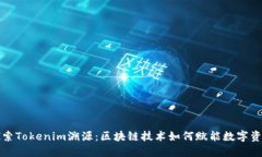 深入探索Tokenim溯源：区块链技术如何