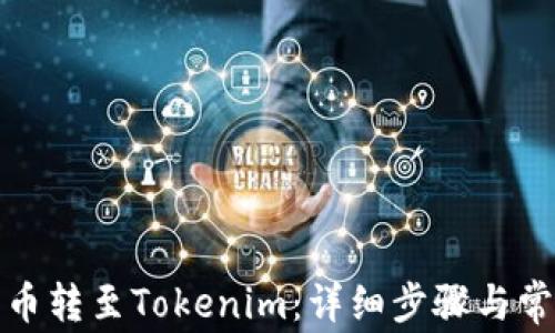
如何将狗狗币转至Tokenim：详细步骤与常见问题解答