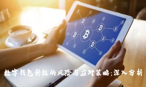 数字钱包升级的风险与应对策略:深入分析