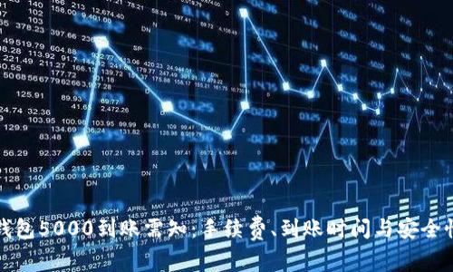 数字钱包5000到账需知:手续费、到账时间与安全性分析