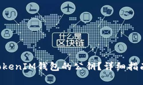 如何查看TokenTokenIM钱包的公钥?详细指南与常见问题解答