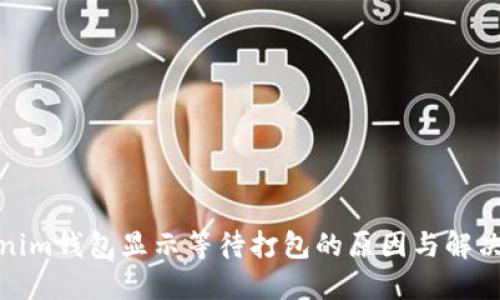 Tokenim钱包显示等待打包的原因与解决方案