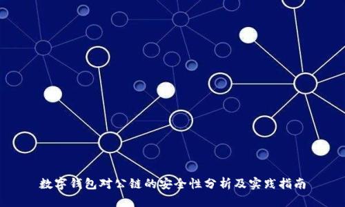 数字钱包对公链的安全性分析及实践指南
