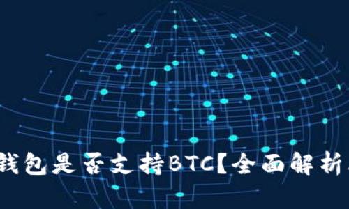 Tokentokenim钱包是否支持BTC?全面解析比特币钱包功能