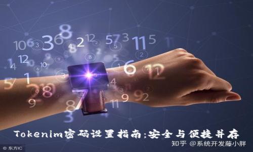 Tokenim密码设置指南:安全与便捷并存