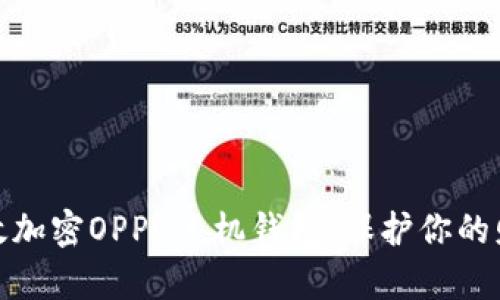 如何有效加密OPPO手机钱包,保护你的财务安全