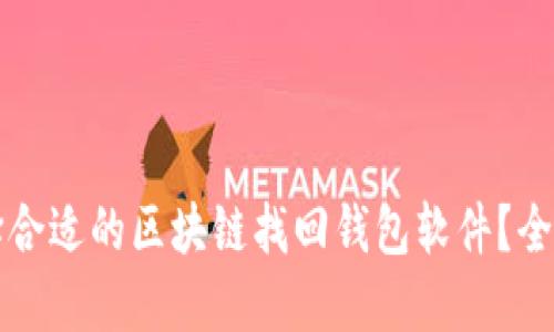 如何选择合适的区块链找回钱包软件?全方位指南