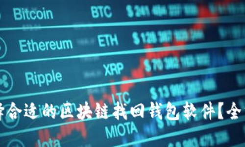 如何选择合适的区块链找回钱包软件?全方位指南