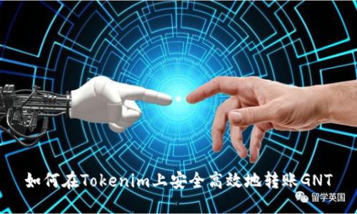 如何在Tokenim上安全高效地转账GNT