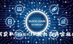 如何获取TokenIM授权及其实施指南