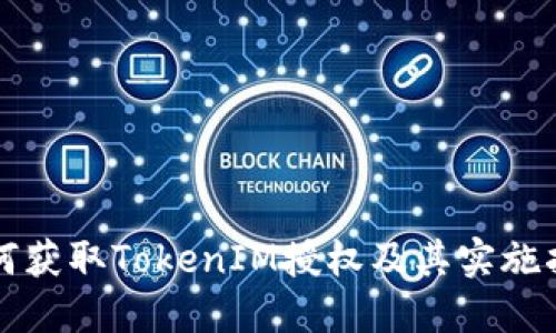 如何获取TokenIM授权及其实施指南