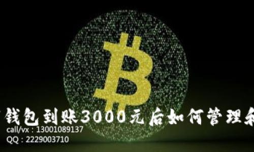 : 数字钱包到账3000元后如何管理和使用?