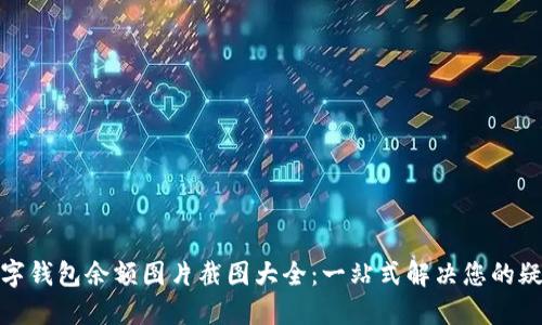 数字钱包余额图片截图大全:一站式解决您的疑问
