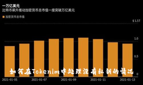 如何在Tokenim中处理没有私钥的情况