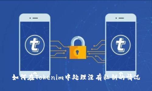如何在Tokenim中处理没有私钥的情况