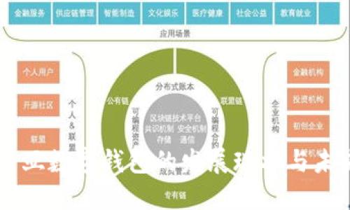 马来西亚数字钱包的发展现状与未来展望