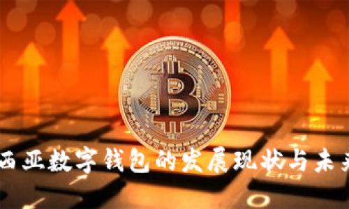 马来西亚数字钱包的发展现状与未来展望