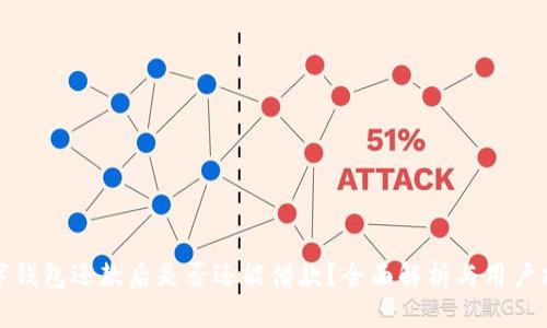 数字钱包还款后是否还能借款?全面解析与用户指南