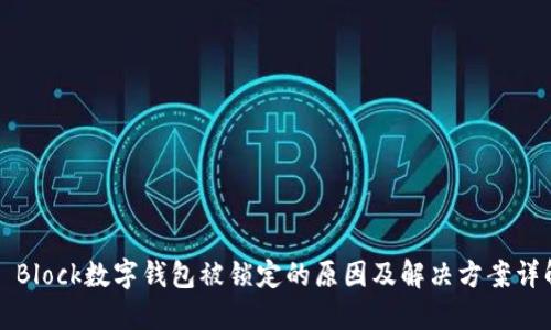 S Block数字钱包被锁定的原因及解决方案详解