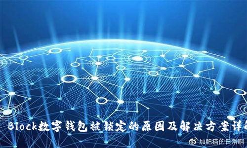 S Block数字钱包被锁定的原因及解决方案详解