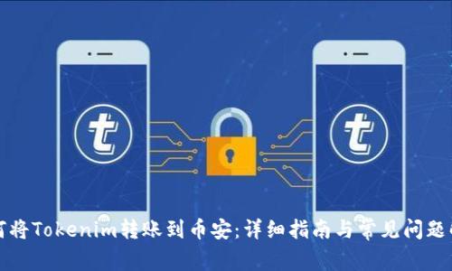 如何将Tokenim转账到币安:详细指南与常见问题解答