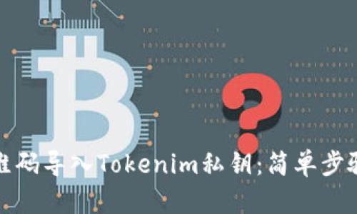 如何通过二维码导入Tokenim私钥:简单步骤与实用技巧