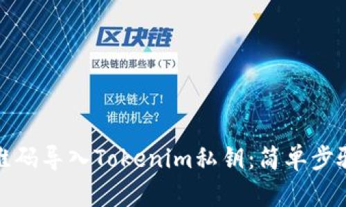 如何通过二维码导入Tokenim私钥:简单步骤与实用技巧