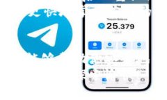 导入 Tokenim 可能涉及不同的平台或具体