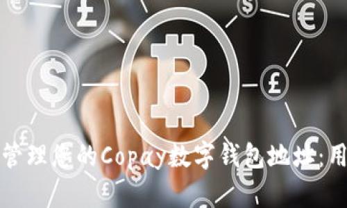 如何安全地管理您的Copay数字钱包地址:用户必备指南
