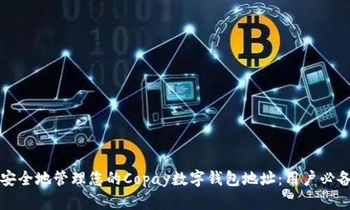 如何安全地管理您的Copay数字钱包地址:用户必备指南