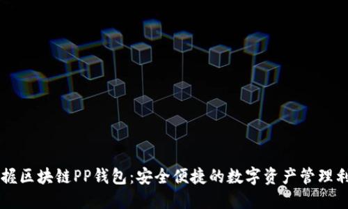 掌握区块链PP钱包:安全便捷的数字资产管理利器