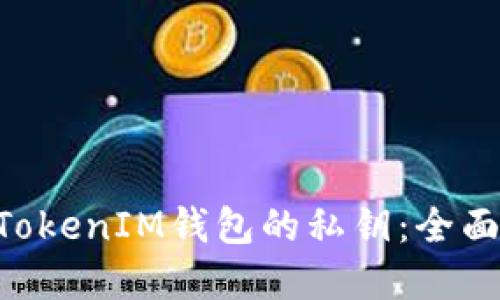 如何找到TokenTokenIM钱包的私钥:全面指南与最佳实践