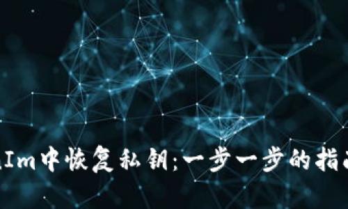 如何在TokenIm中恢复私钥:一步一步的指南与用户收益