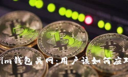 Tokentokenim钱包关网:用户该如何应对及保护资产